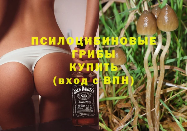 крисы Армянск
