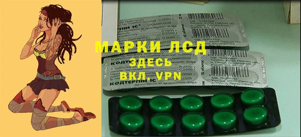 ПСИЛОЦИБИНОВЫЕ ГРИБЫ Алексеевка