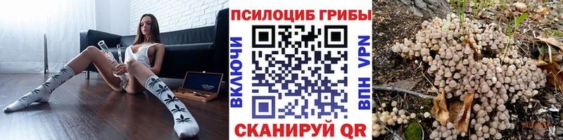 цены наркотик  Печоры  Галлюциногенные грибы ЛСД 